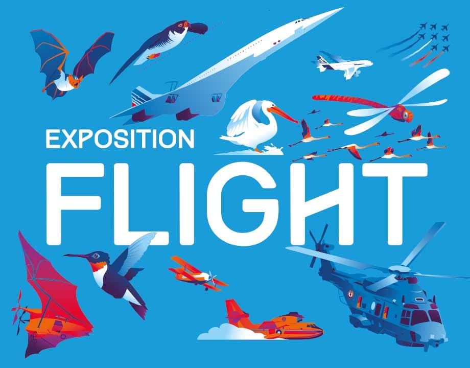 Flight