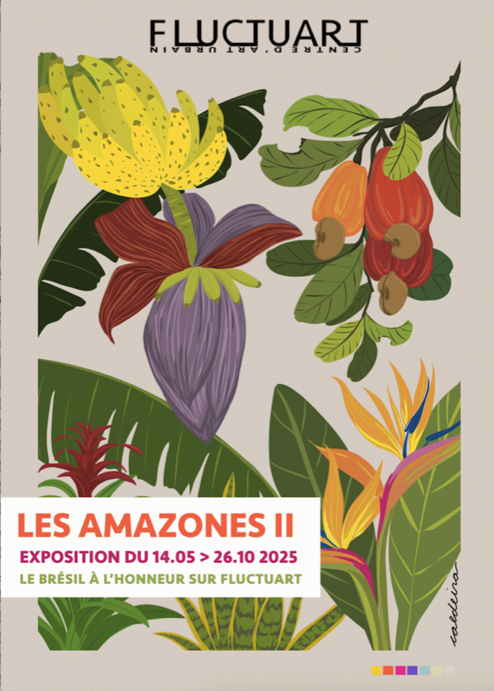 Les Amazones II