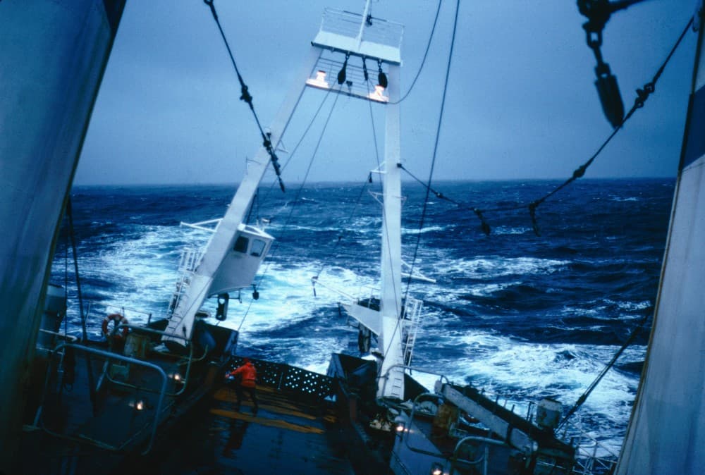 La pêche au-delà du cliché, inédits de la collection