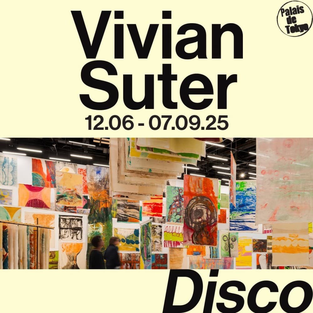 Vivian Suter, Disco