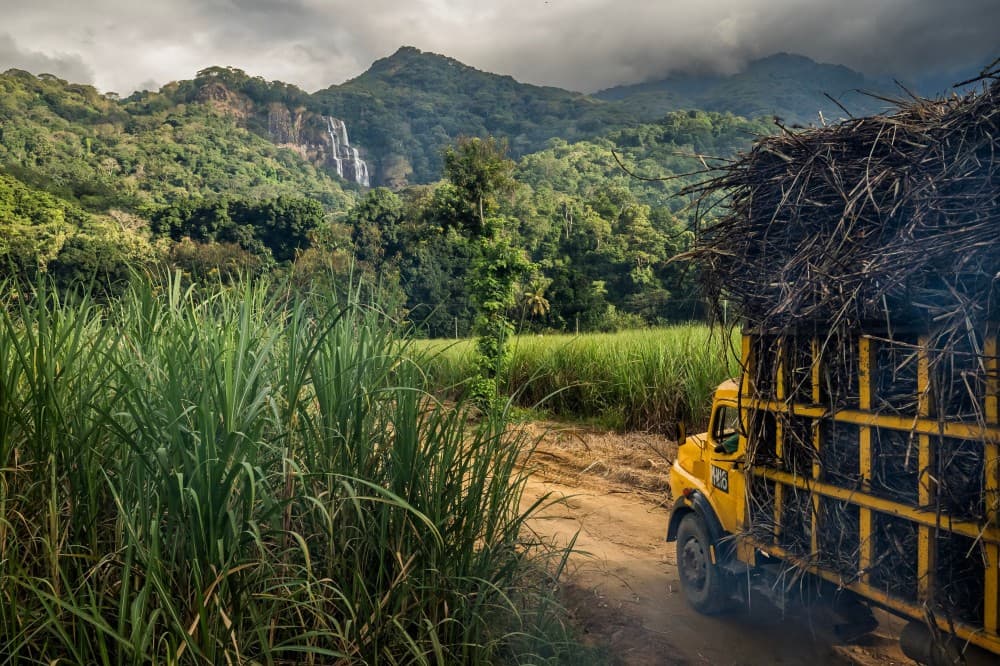 Tanzanie, le monde perdu d'Udzungwa : Frédéric Noy
