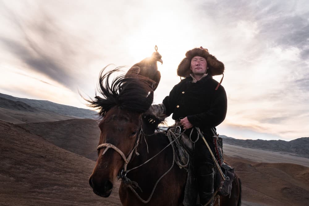 Comme des papillons en hiver : Régis Defurnaux