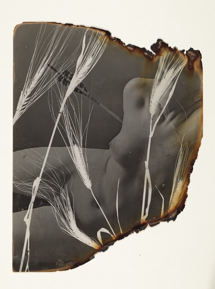 Photogrammes et Rayogrammes : 1940-1950.