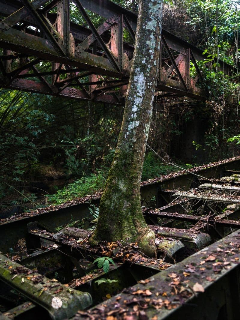 François-Xavier Gbré, Radio Ballast