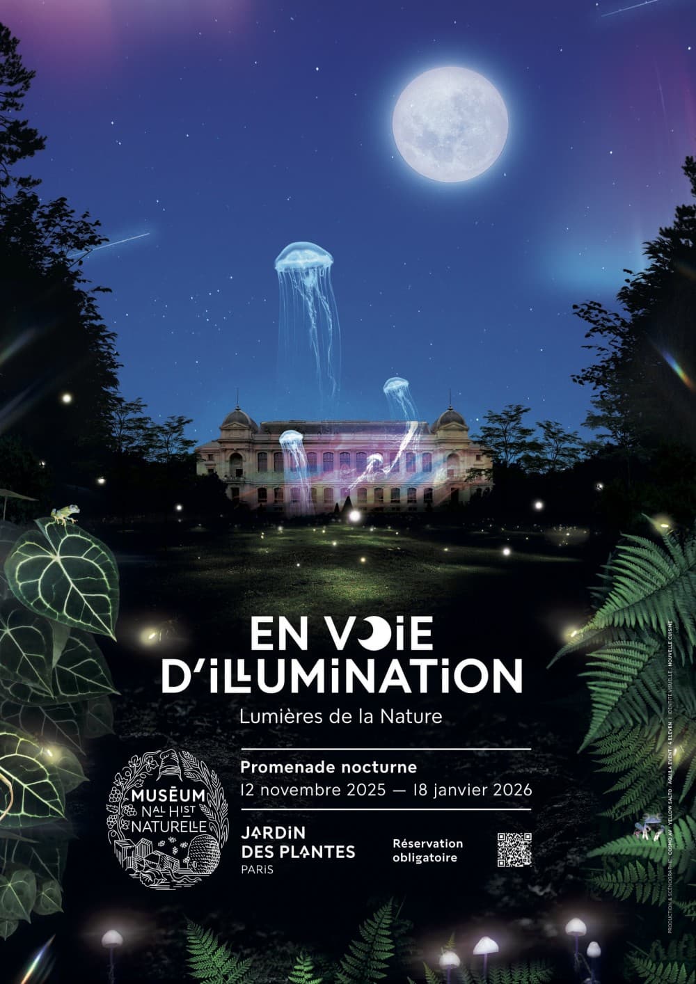 En voie d'illumination, Lumières de la Nature