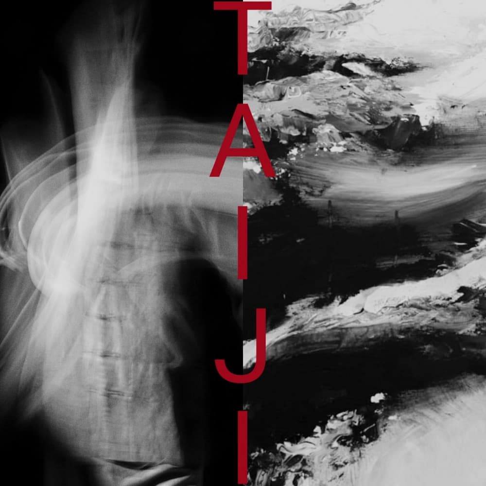 Taiji : Hervé Bialé & Claude Vergé