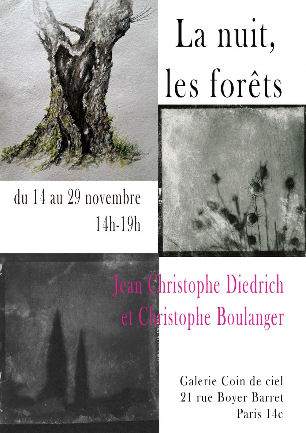 La nuit, les forêts… : Jean Christophe Diedrich, Christophe Boulanger