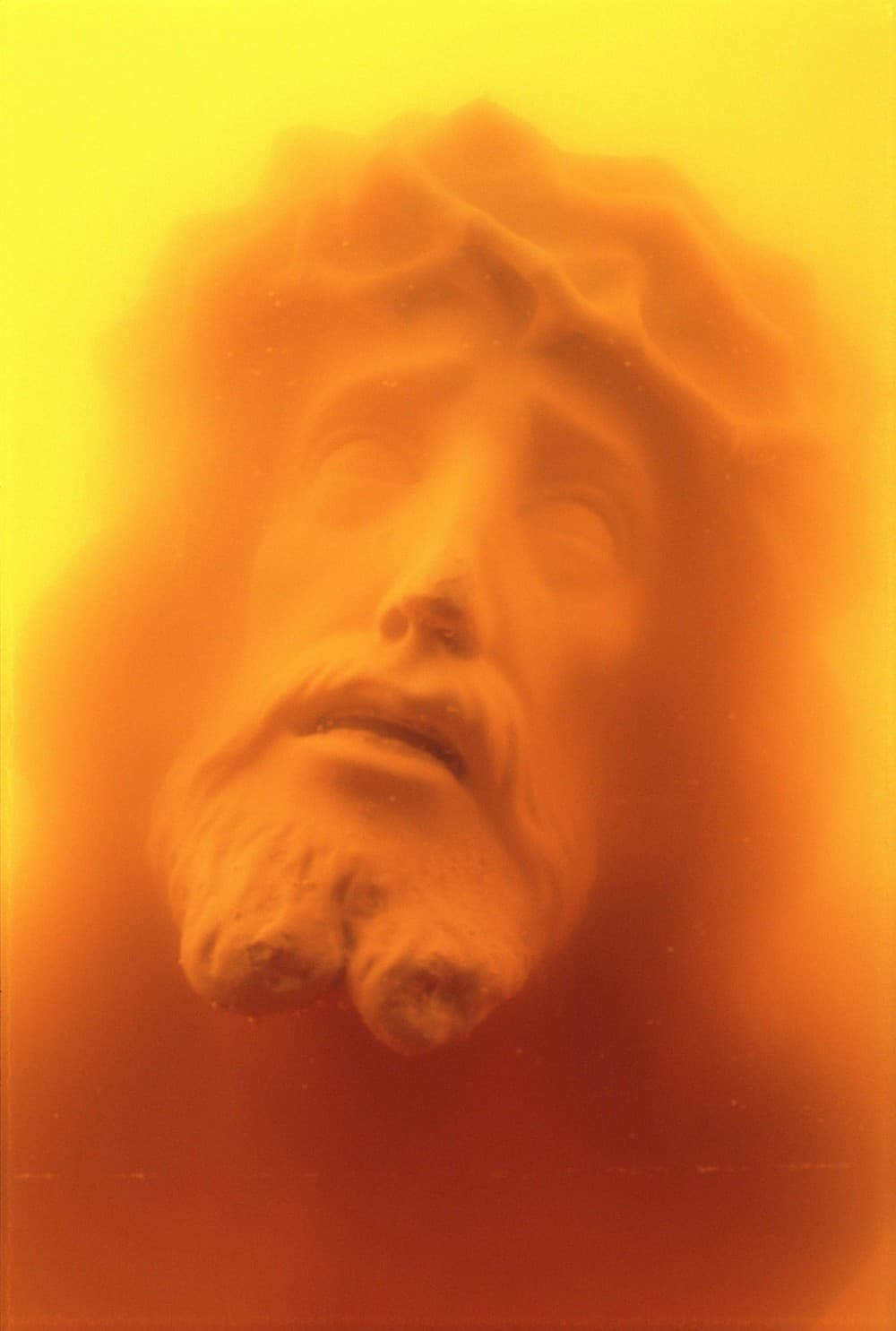 A Personal Mythology / Immersions and Bodily Fluids : Andres Serrano