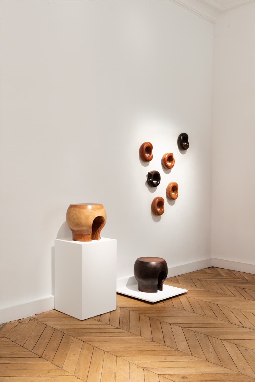 Animal Vegetal : Estelle Yomeda