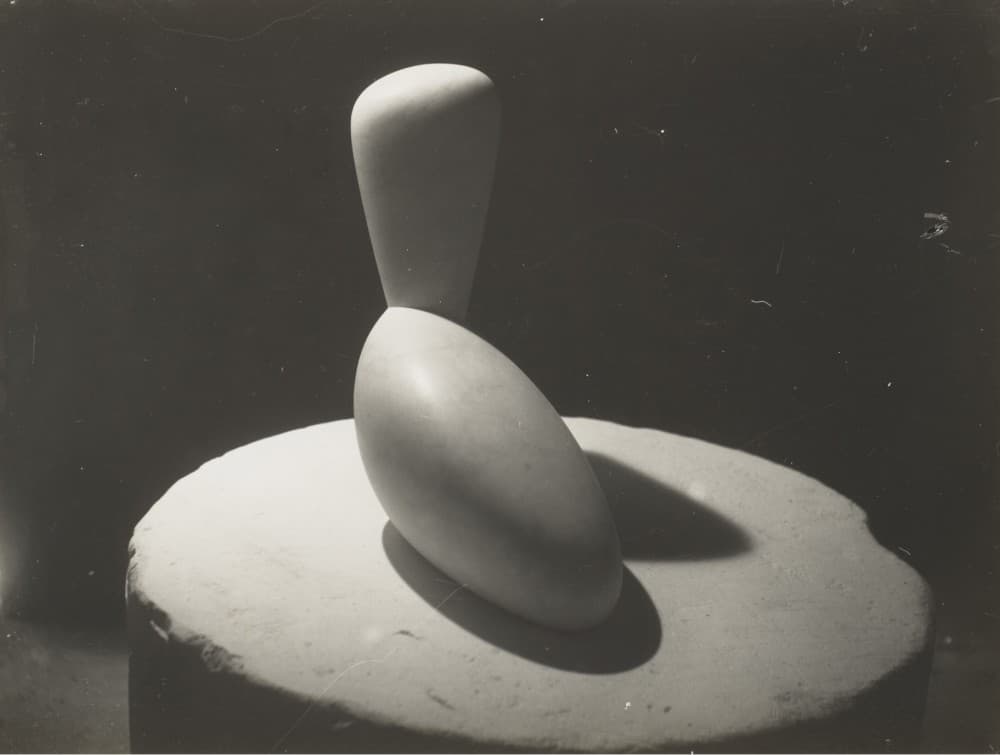 Photographs : Constantin Brancusi