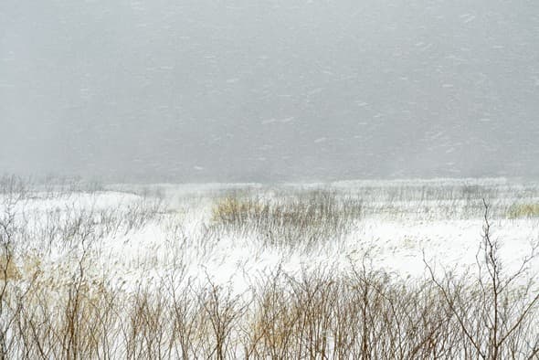Le bruit de la neige : Catherine Henriette