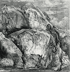 Anne Helsly, Bertrand Bataille, Irina Shark