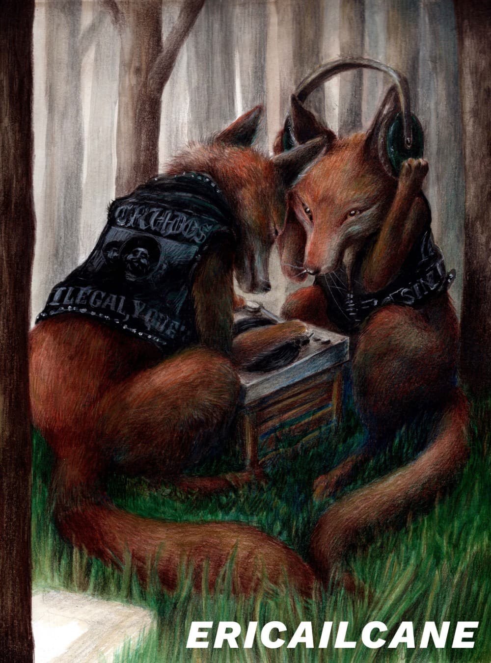 Après la Pluie : Ericailcane