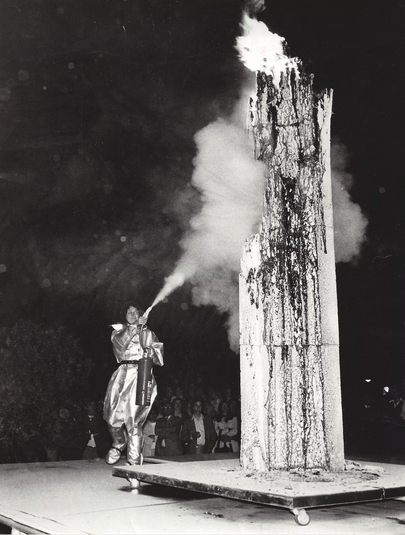 Flammes : Ingeborg Lüscher