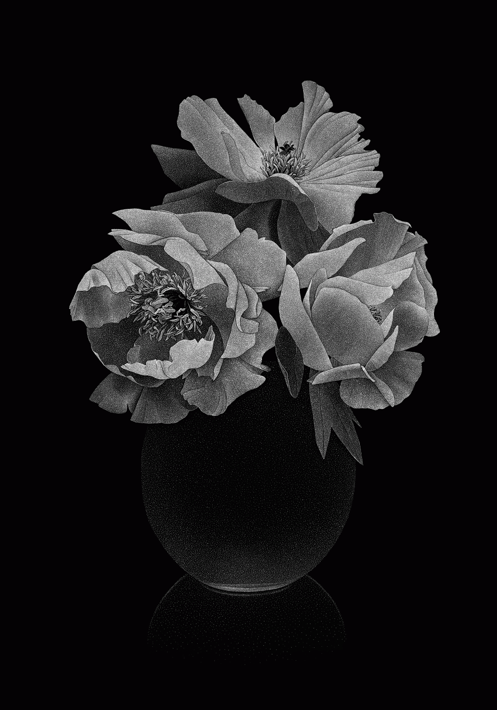 Pierre-Joseph Redouté, Thilo Westermann : Roses & Pivoines