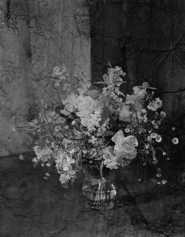 Tout en ce lieu me survivra : Alexandra Catiere