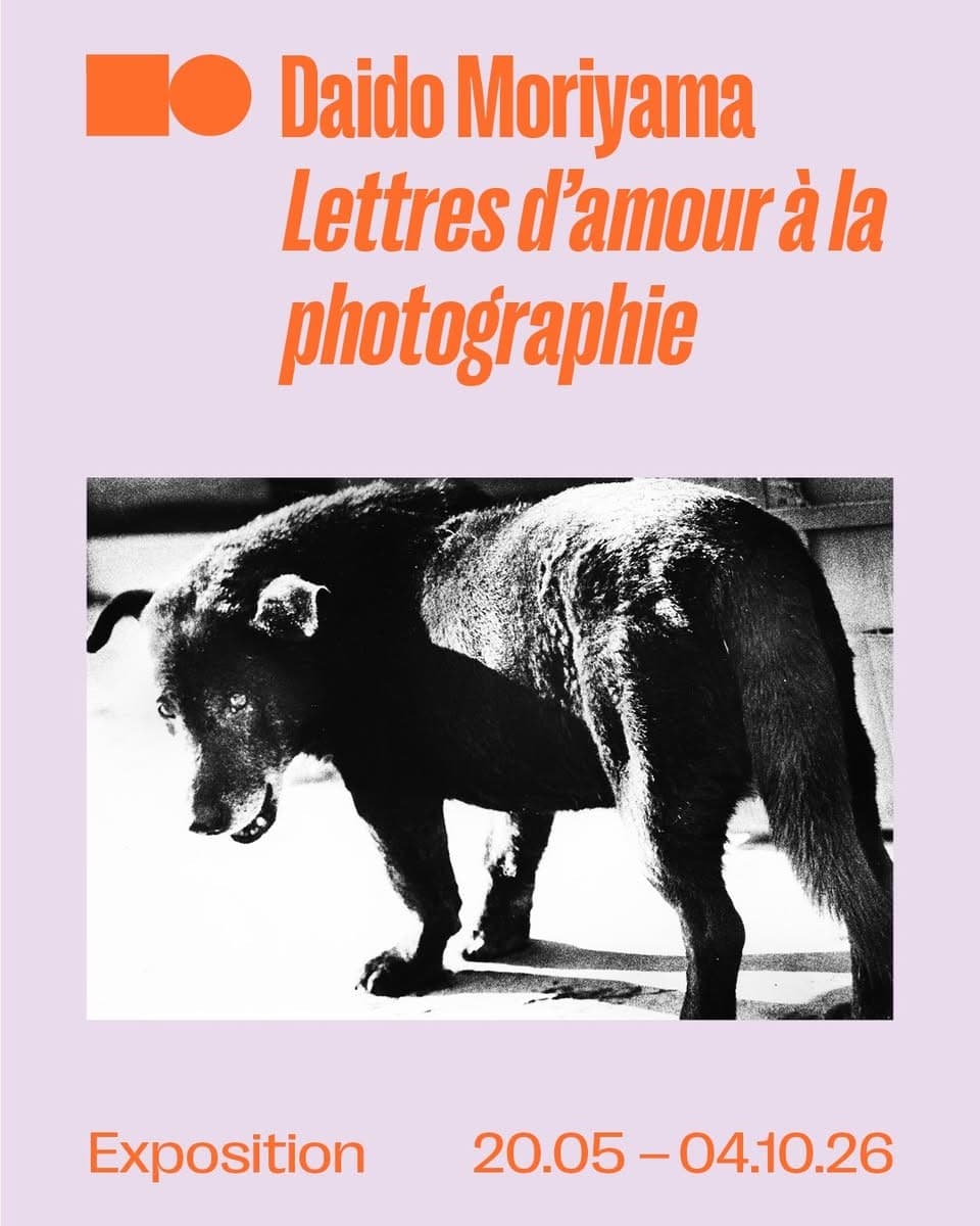 Daido Moriyama, Lettres d'amour à la photographie