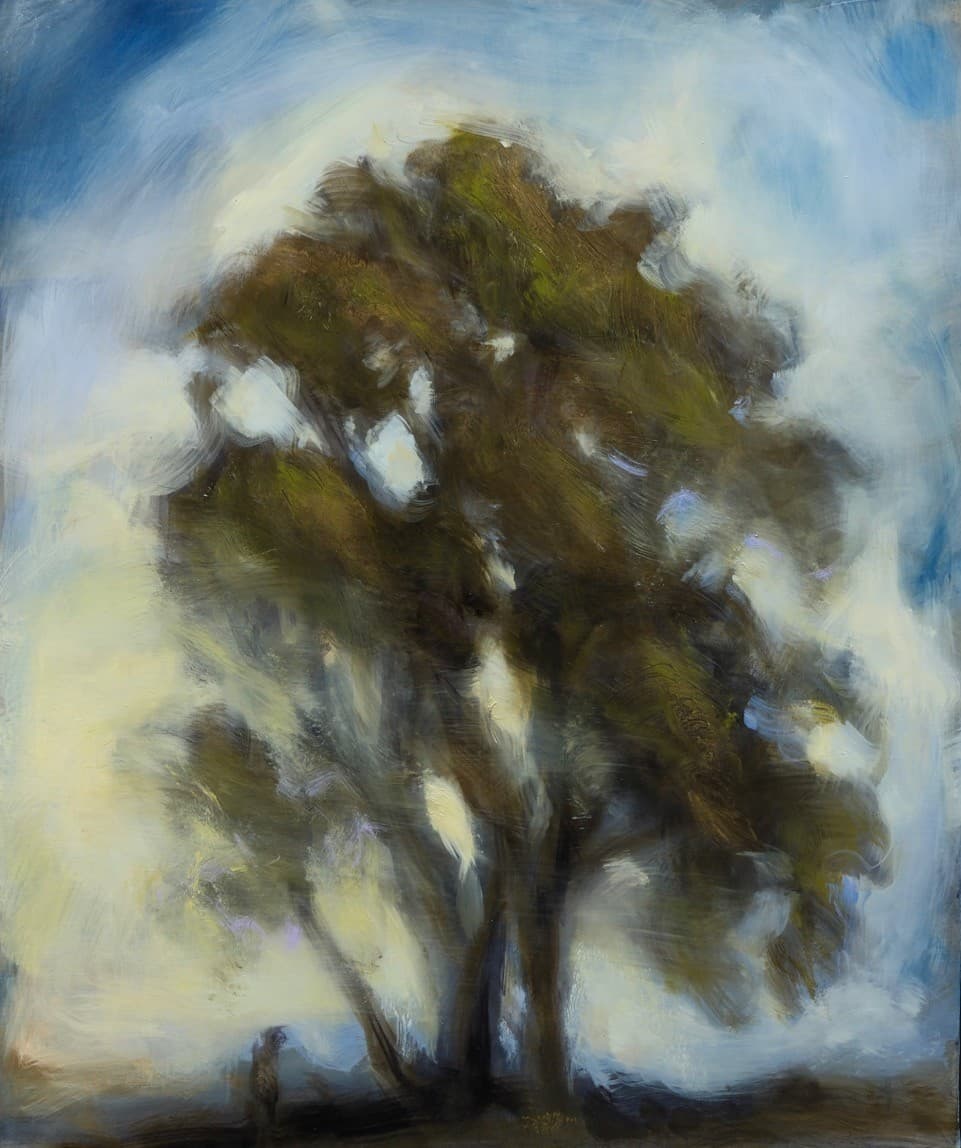 Visages d'arbre