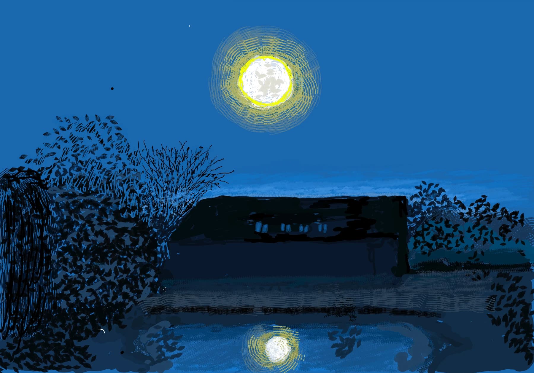 David Hockney: The Moon Room