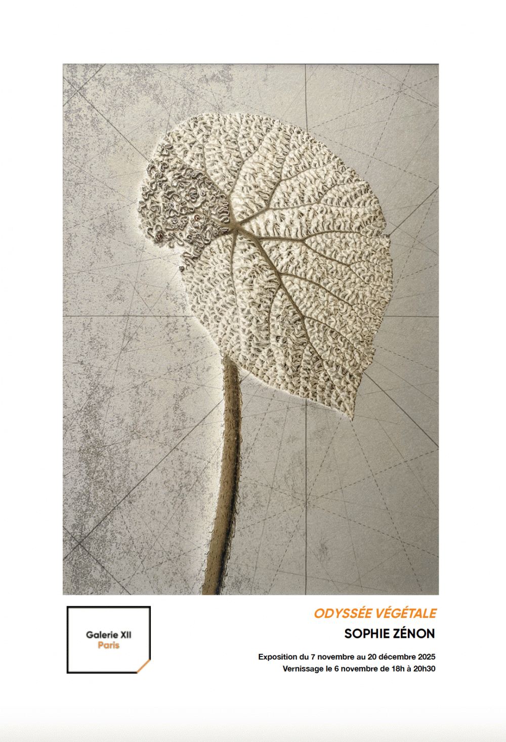 Odyssée végétale : Sophie Zénon