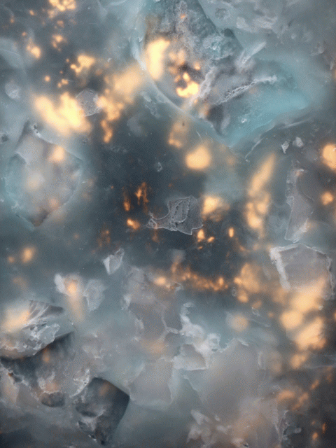 Lisières silencieuses : Cassandre Lepicard