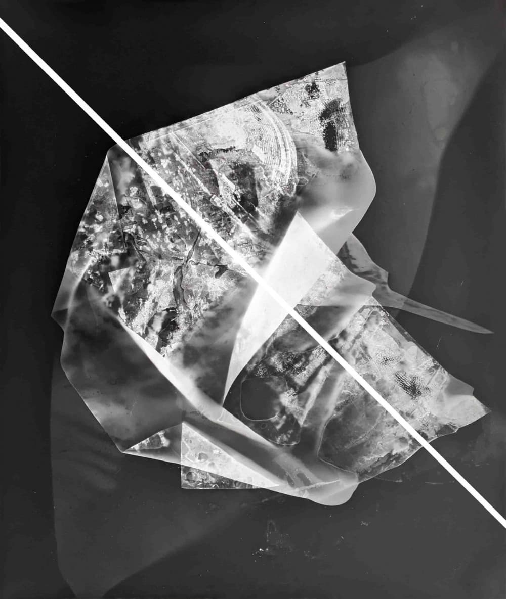 Guénaëlle de Carbonnières, dans le creux des images