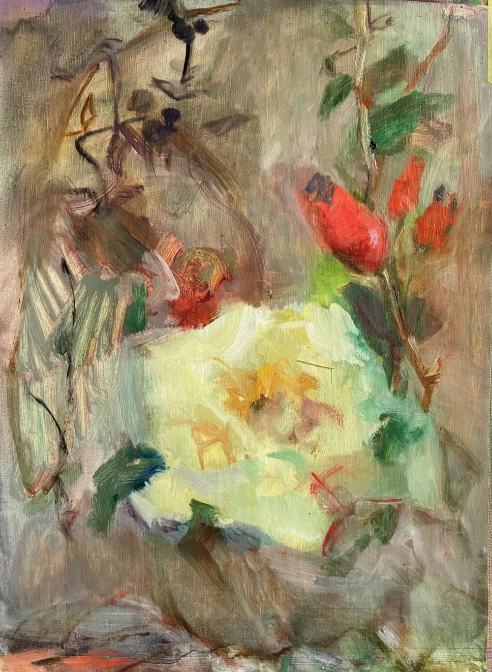 Jardins fragiles : Dominique Plait