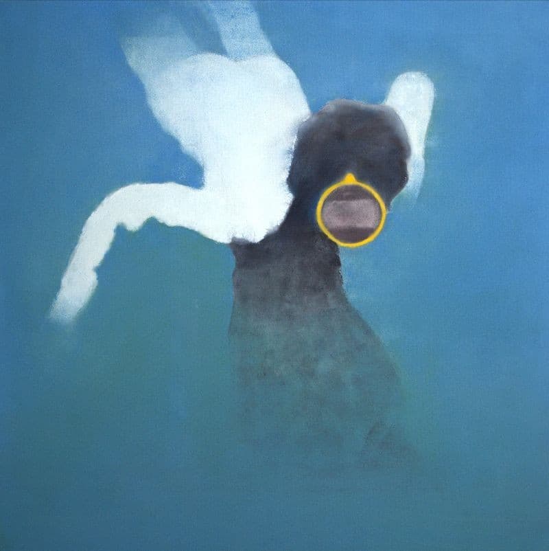 Détails : Jérôme Borel