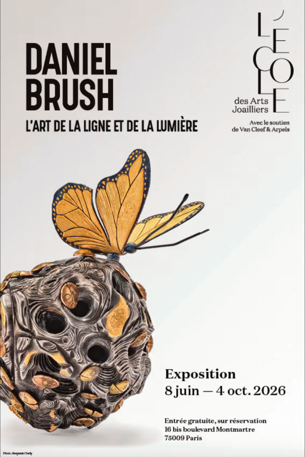 Daniel Brush, l'art de la ligne et de la lumière