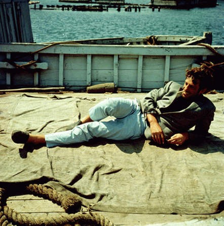 Belmondo, le Magnifique