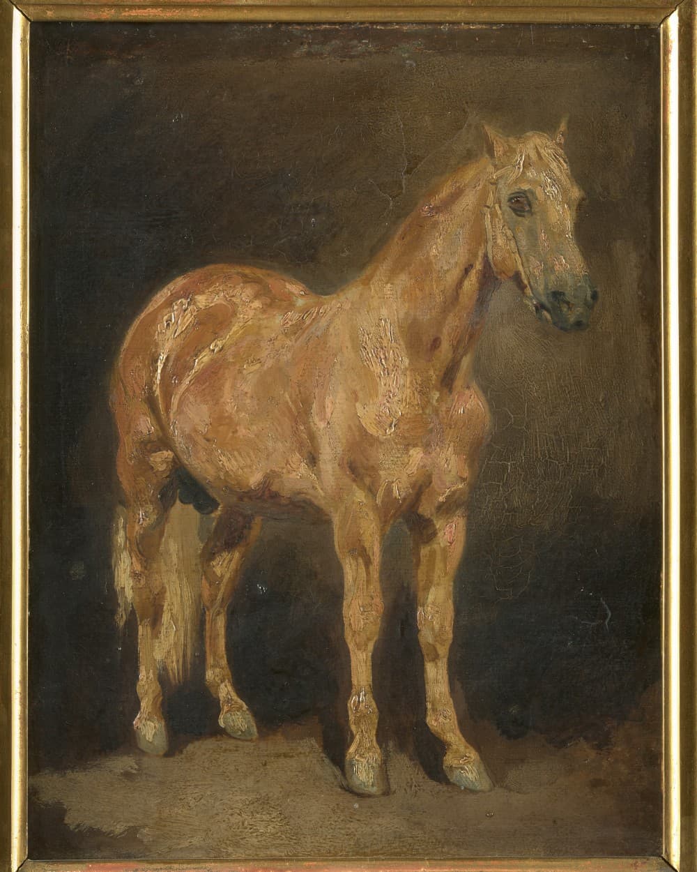 Delacroix, chevaux et autres animaux