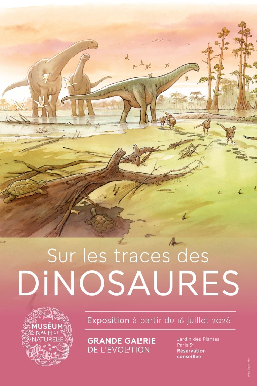 Sur les traces des dinosaures