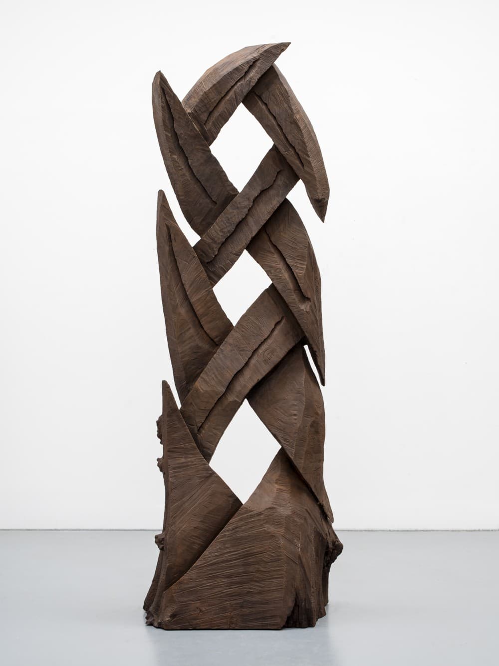 Catching Forms. Wood to Bronze : David Nash