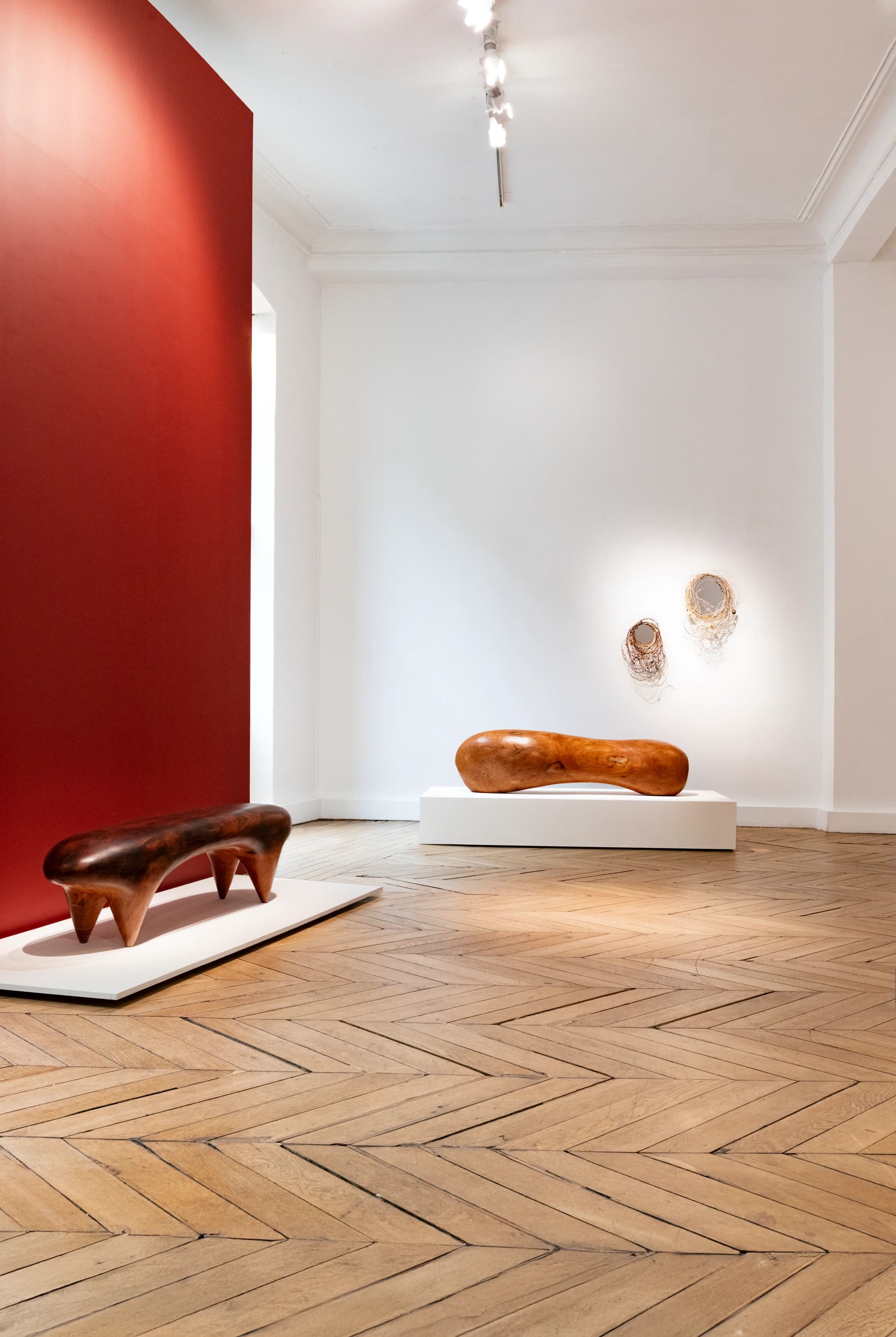 Estelle Yomeda: Animal Vegetal