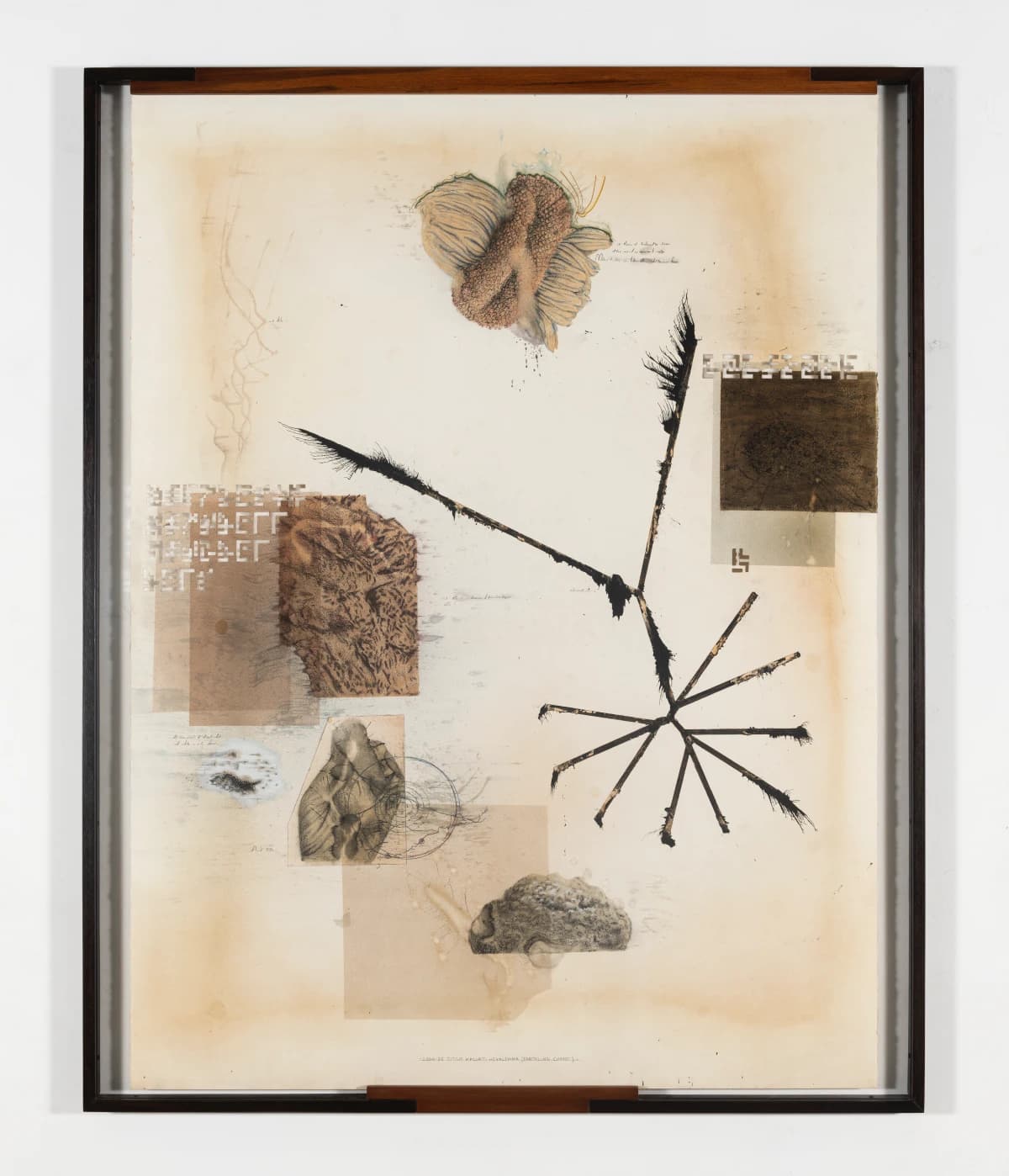 Jitish Kallat: Point of Incidence