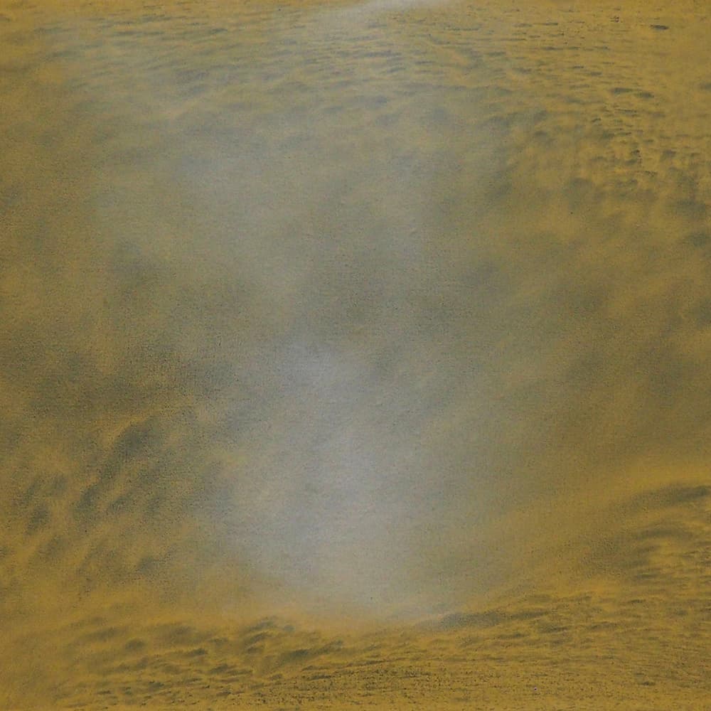 Manuela Sedmach: Guardatori